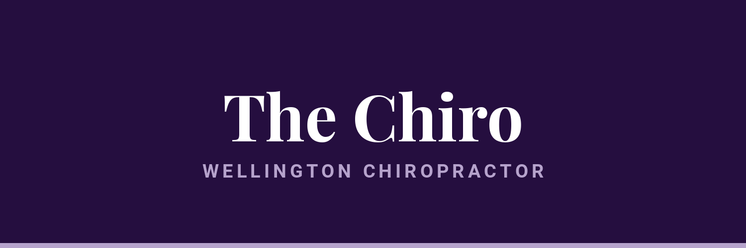 The Chiro - chiropractors in Johnsonville, Wellington