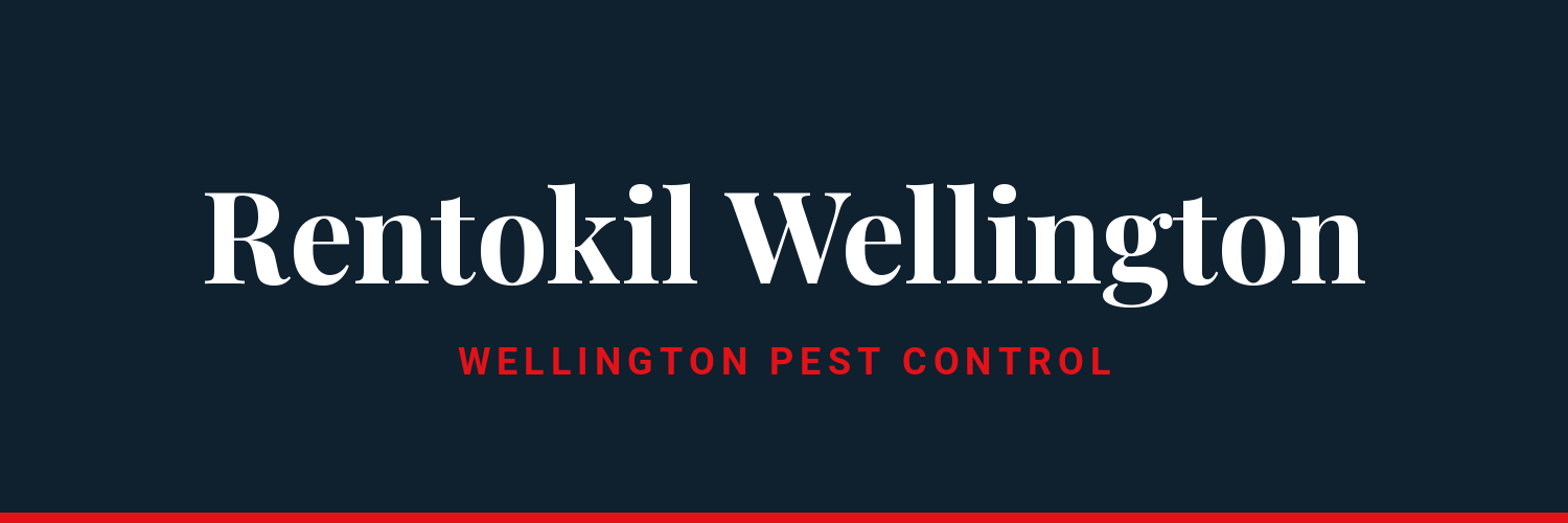 Rentokil - national pest control provider operating in Wellington