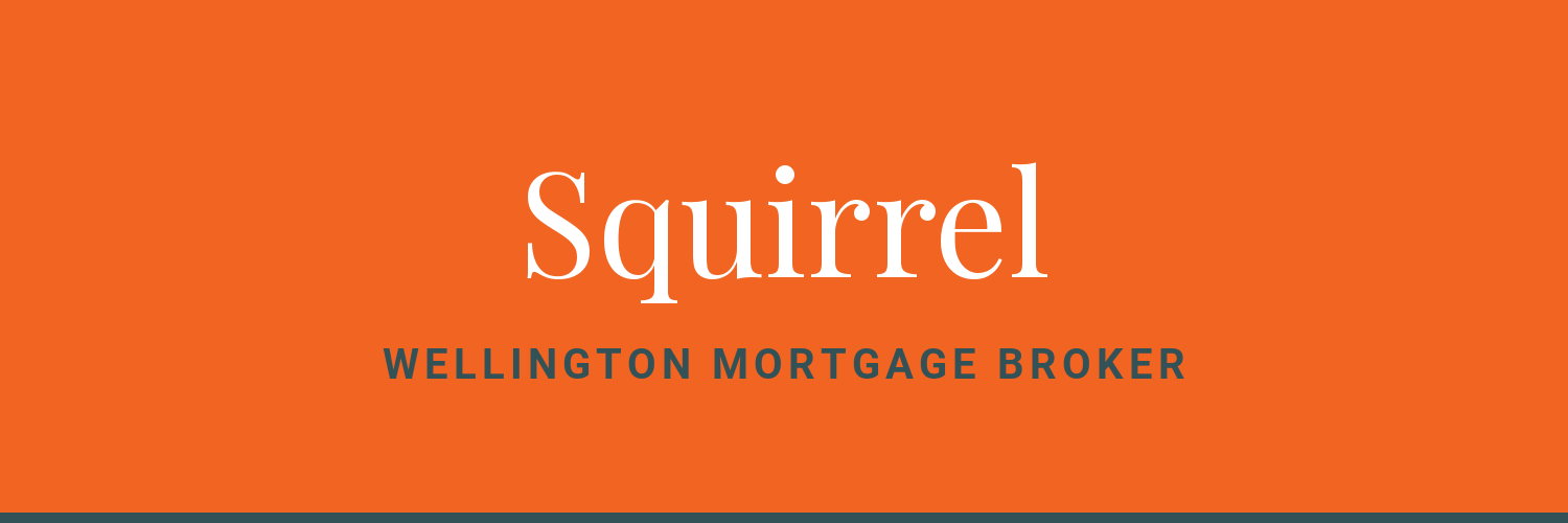 Squirrel - mortgage brokers in Wellington