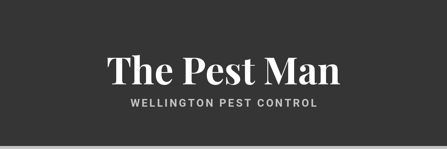 The Pest Man - PMANZ registered borer treatment based in Lower Hutt